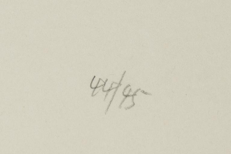 Toko Shinoda, lithograph in colours, signed 44/95.