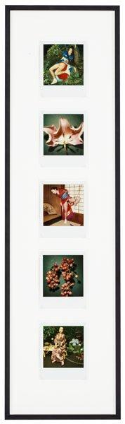 Nobuyoshi Araki, "Pola eros" and "Flower", 2004-2006.