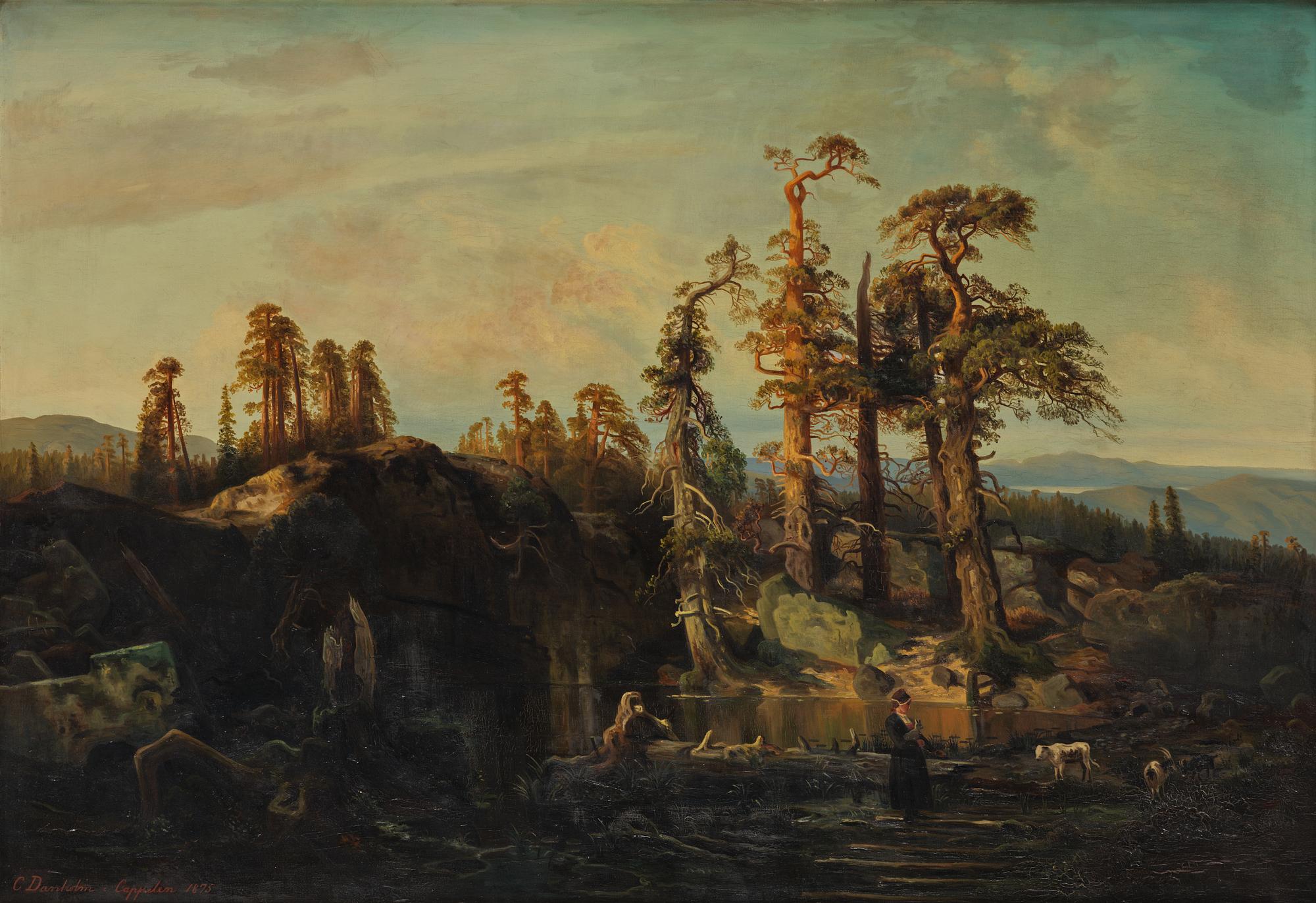 "Tarn in Telemark".