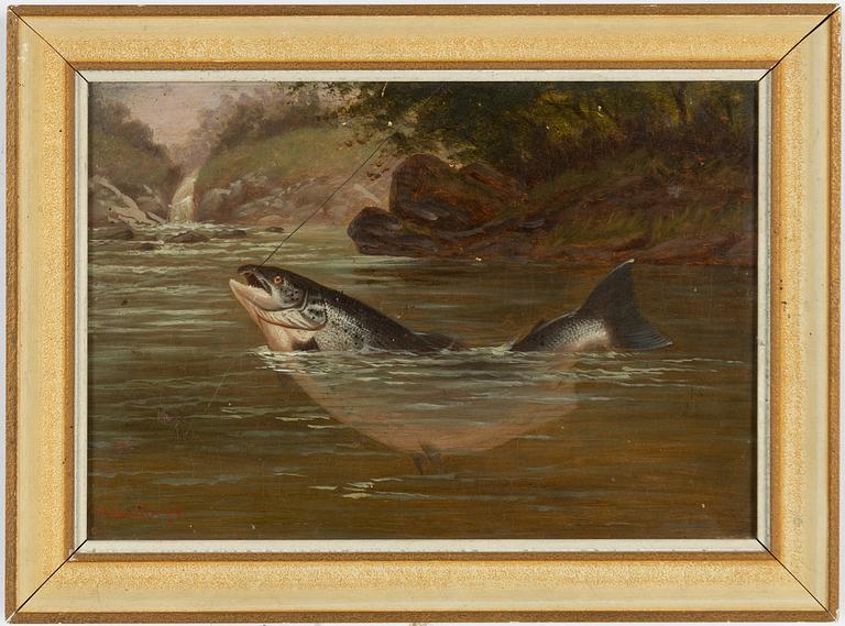Arthur Roland Knight, Laxfiske.