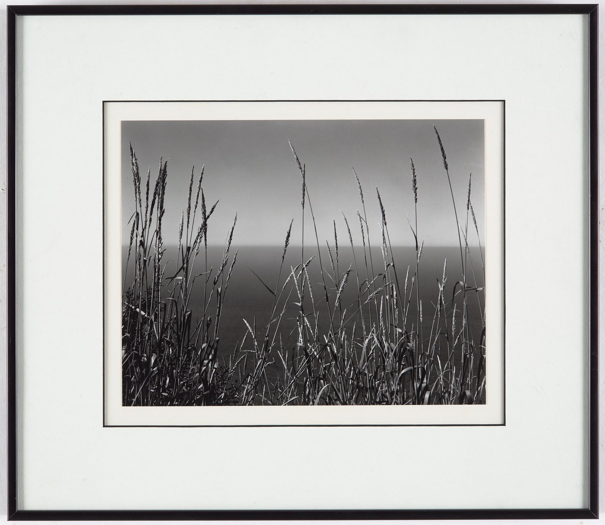 EDWARD WESTON, gelatinsilverfotografi stämplad och signerad av Cole Weston och numrerad 33/50 a tergo montering.