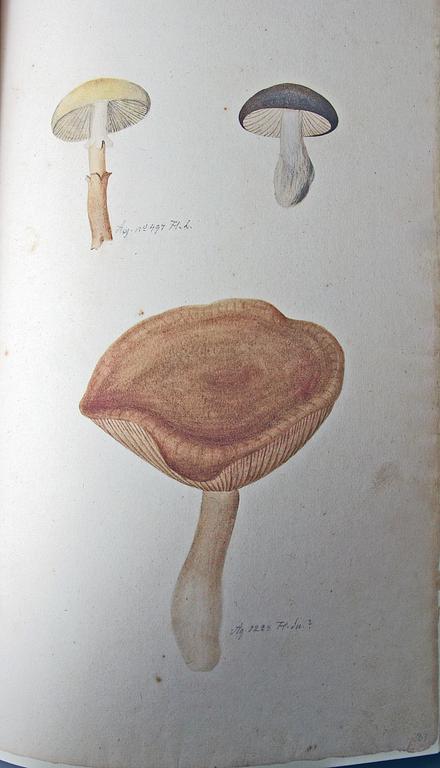 BÖCKER, 2 vol, Olof Rudbeck d y, Iter Lapponicum - Resan till Lappland, nr 1485/1999.