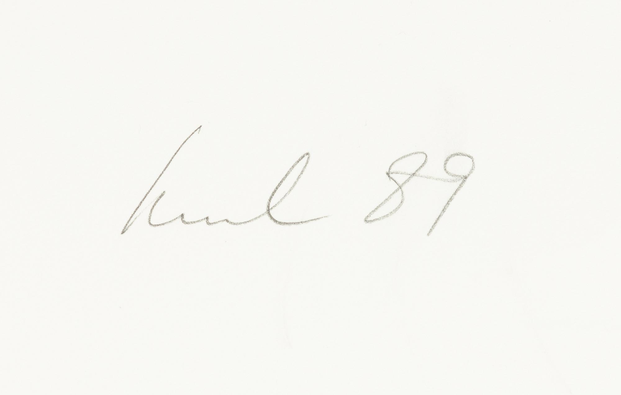 Raul Meel, "Windows and Landscape 3".