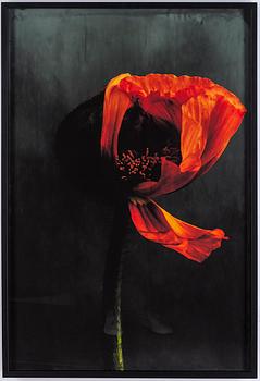 EWA-MARIE RUNDQUIST, Archival pigment print.