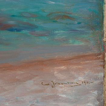 Carl Johansson, Vy över Medelhavet.
