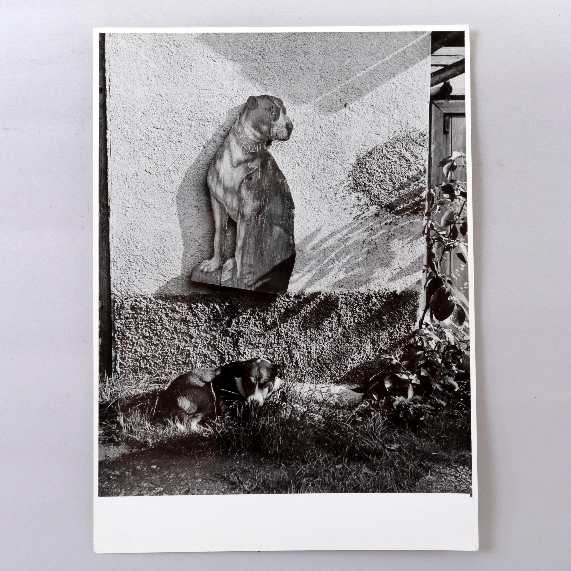 peter Keetman, photography stamped signature verso 1950/60s.