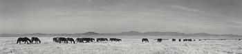 186. Pentti Sammallahti, "Siperiasta, 1997".