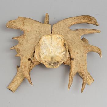 NILS NILSSON SKUM, hornmontage/skål, signerad och daterad 1933.