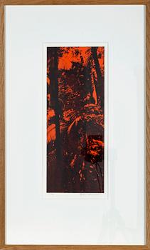 BJÖRN WESSMAN, grafiska tryck, 3 st, sign. Nr 30/35, 26/35, 26/35.