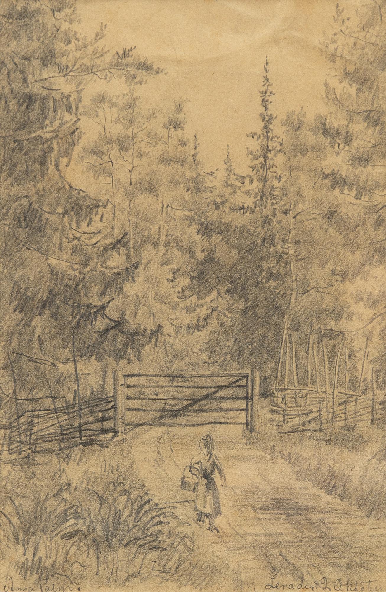 Anna Palm de Rosa, Forest Road.