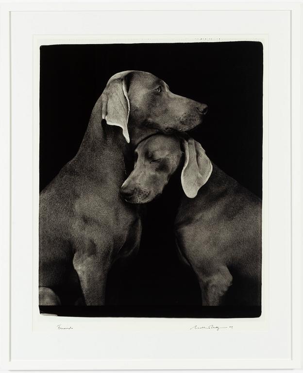 William Wegman, archival pigment print, 2009, signerat. Numrerat 257/1500 a tergo.