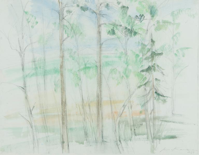 Aimo Kanerva, Landscape.