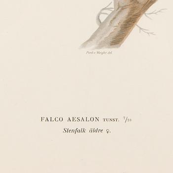 LITHOGRAPHS, 5 pcs, after Wilhelm von Wright and Bror Hallberg. A. Börtzell, Stockholm.