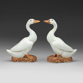 252. A pair white glazed ducks, early 20th century.