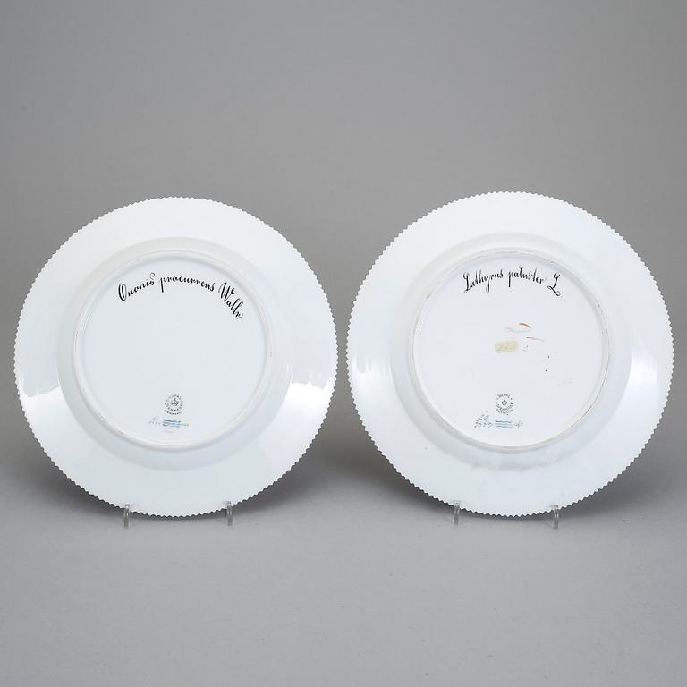 TALLRIKAR, 2 st, porslin. "Flora Danica", Royal Copenhagen.