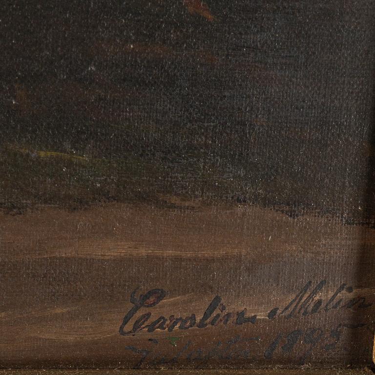 Okänd konstnär, oil on canvas, signed Carolina Molin and dated 1895.
