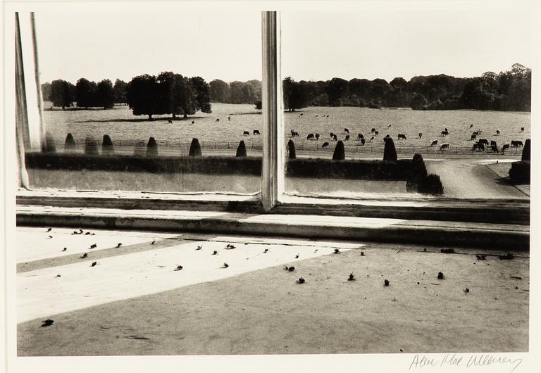 Alen MacWeeney, "Flies in the window" , 1972.