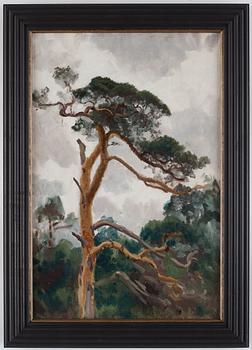 Bruno Liljefors, Pine.