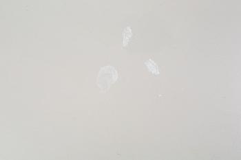 DAMARBETSBOR, sengustaviansk stil, omkring 1900.