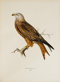 M, W & F VON WRIGHT, boks, 3 volumes, "Svenska fåglar", A. Börtzells tryckeri AB Stockholm, 1927-1929.