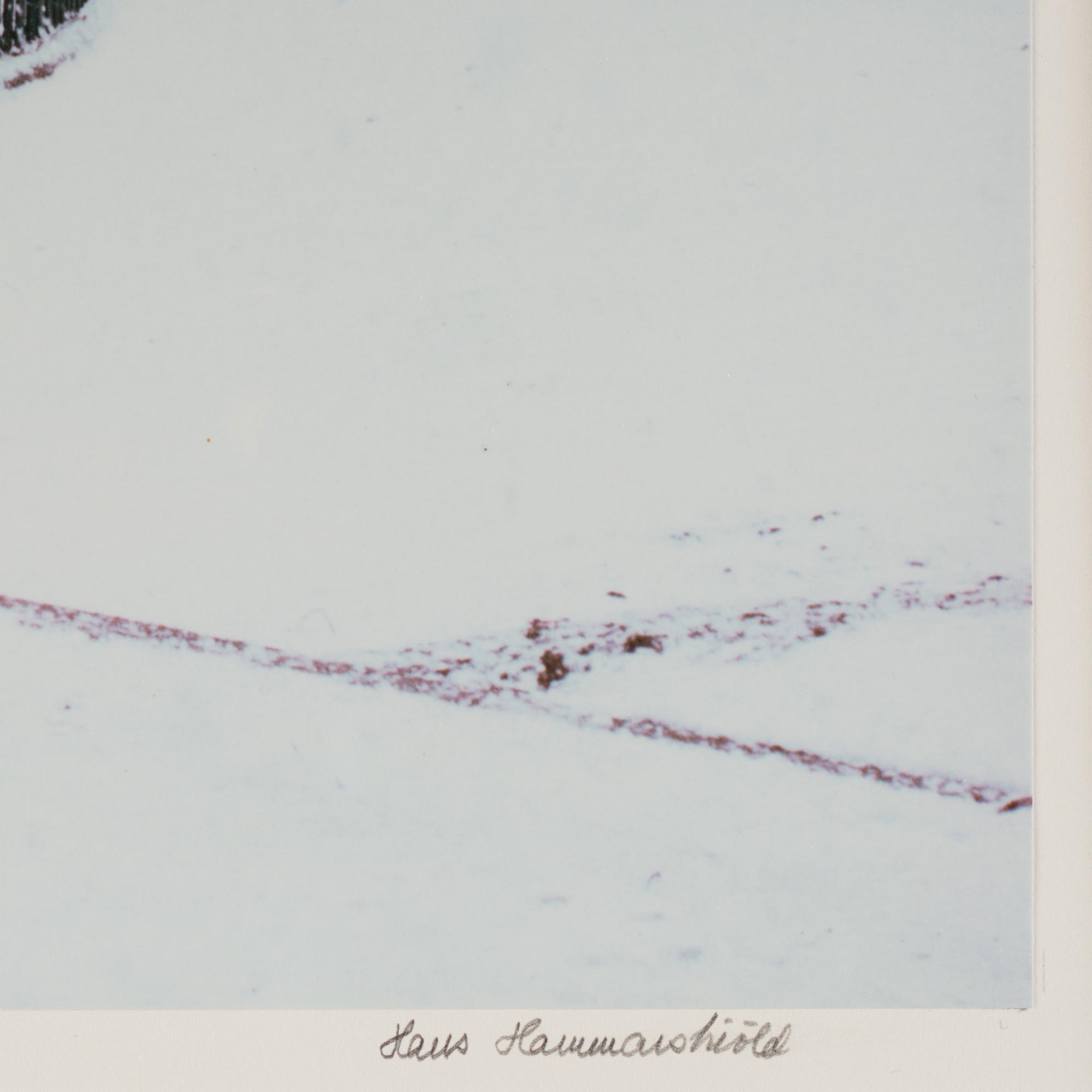 Hans Hammarskiöld, "Bastugatan, Stockholm, 1980".