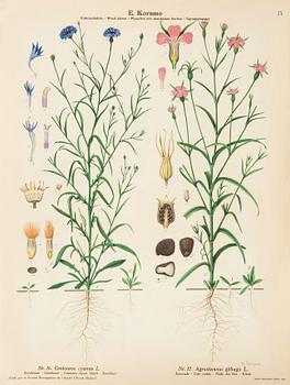 Emil Korsmo, 24 lithographic weed posters.