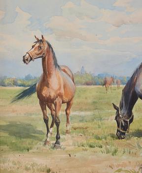 Anna Palm de Rosa, Grazing horses.