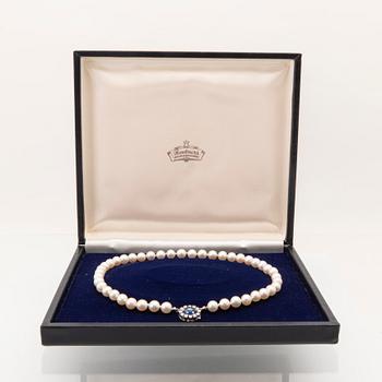 Necklace with cultured pearls, clasp in 18K white gold with cabochon-cut sapphire and round brilliant-cut diamonds.