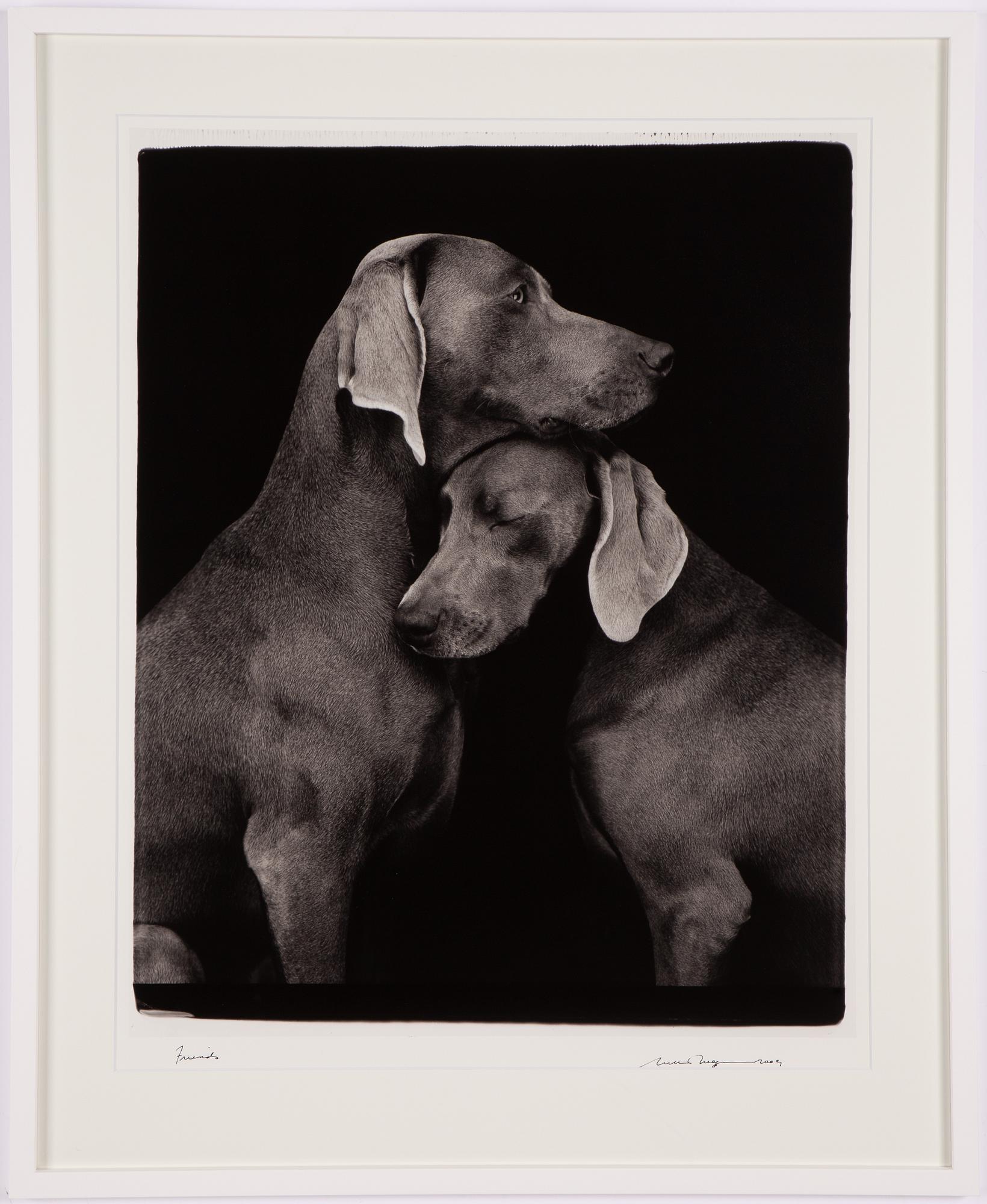 William Wegman, "Friends".