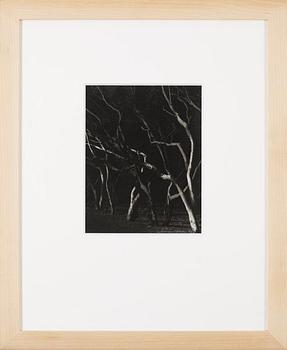 Lennart Olson, "Agadir II", 1979.