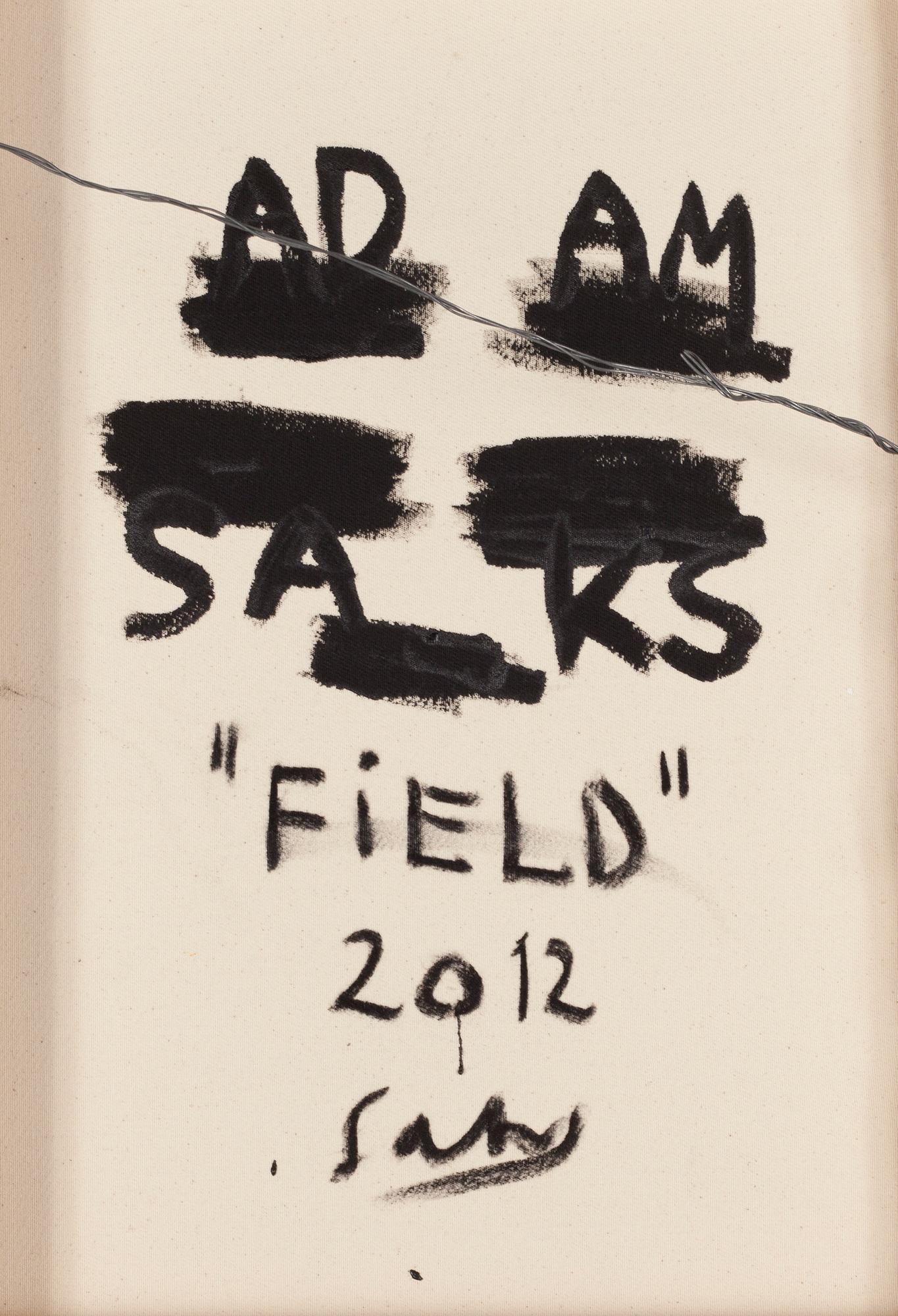 Adam Saks, 'Field'.
