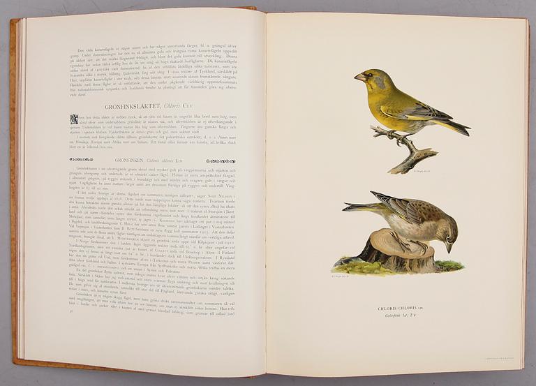 BÖCKER, 3 vol, "Svenska Fåglar", M,W & F von Wright, Stockholm 1927 och 1929.