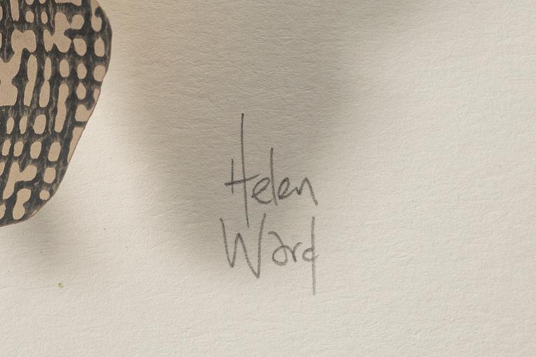 Helen Ward, "Paper Entomology".