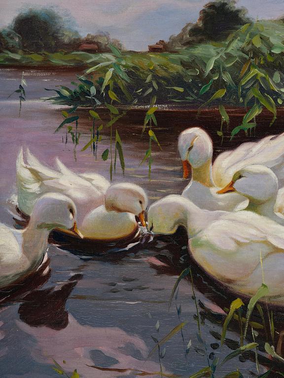 Ivar Nyberg, Cygnets.