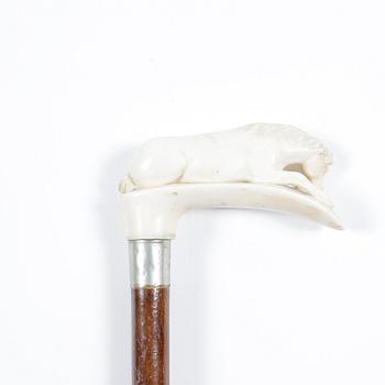 KÄPP med BENHANDTAG, 1900-tal.