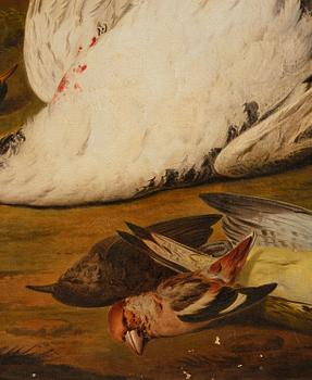 Jacob Xaver Vermoelen, Still Life with Pet Birds.