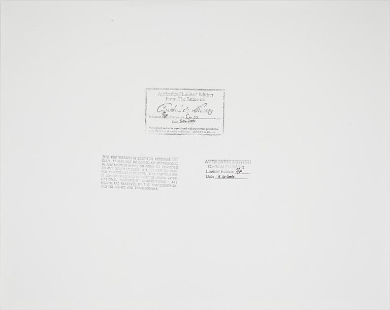 ANDRÉ DE DIENES, efter, gelatinsilverfotografi, stämpelmärkt á tergo, sign o numr 129/200.