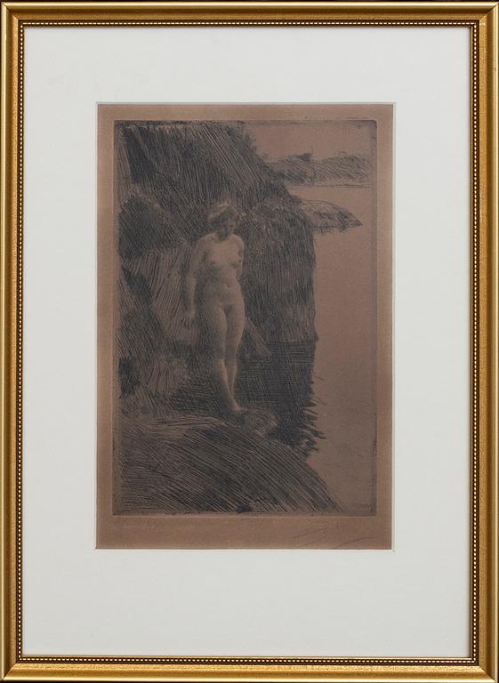 Anders Zorn, a signed etching from 1909.