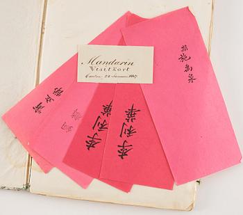 An album with 12 Chinese paintings by anonymous artist, Qing dynasty, 19th Century.