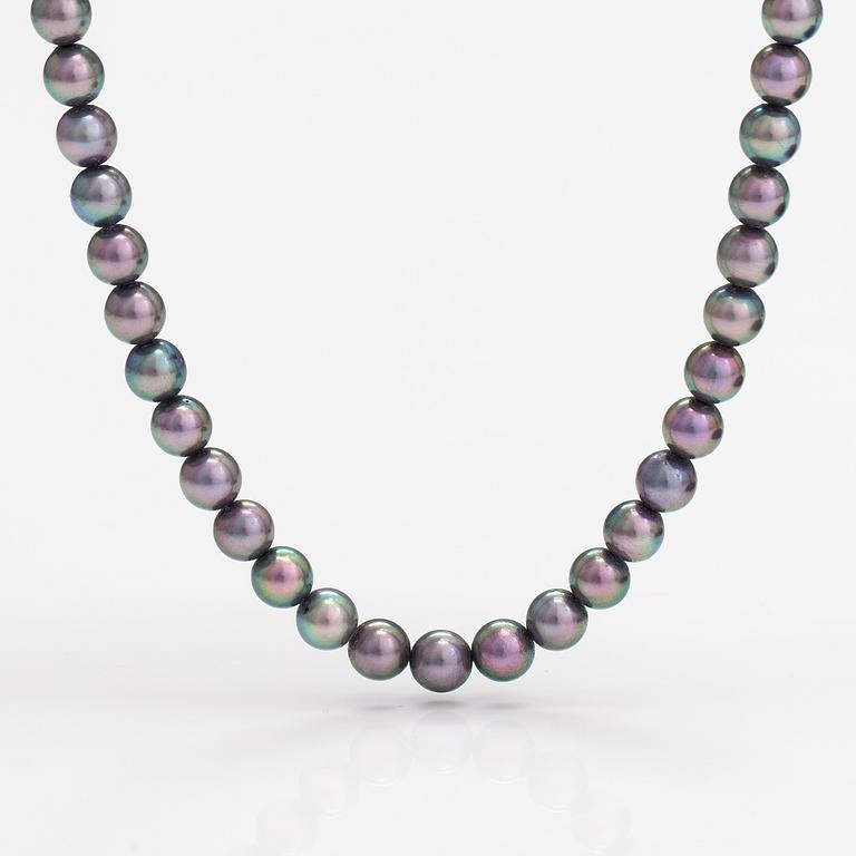 Pärlcollier, odlade pärlor, silver.