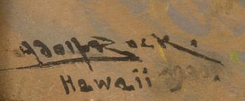 Adolf Bock, NÄKYMÄ HAVAJILTA.