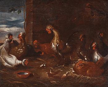 567. Melchior de Hondecoeter Circle of, A rooster in the chicken farm.