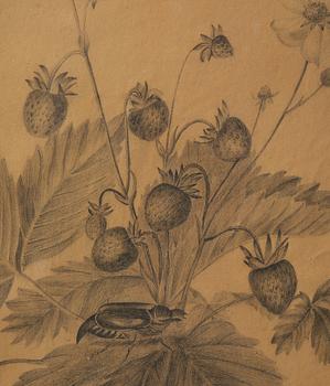 Ramar, ett  par, Sverige, tidigt 1800-tal, Empire, med blomsterstudier av Margareta Tröne (1804-1830).