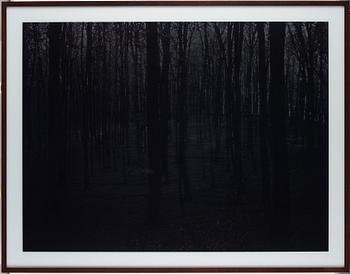 Blaise Reutersward, "Deutsche Landschaft 1203", 2012.