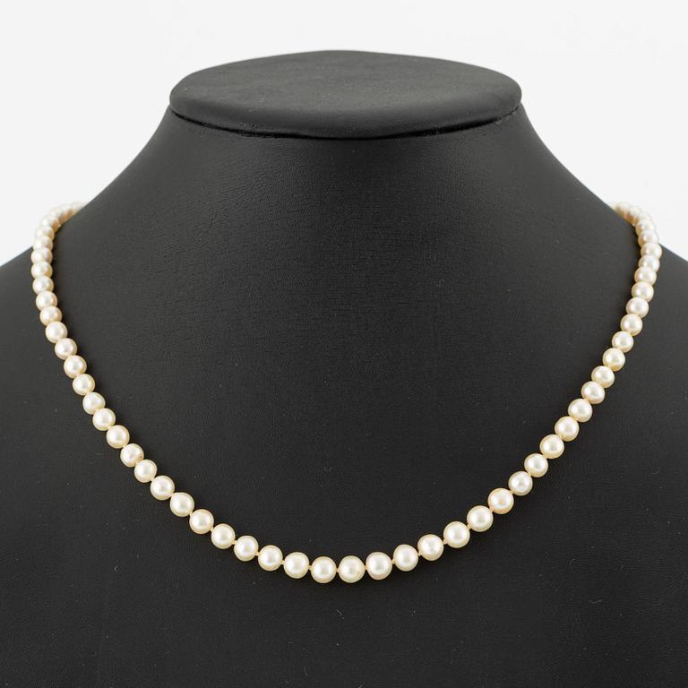 Necklace cultured pearls, clasp 18K white gold.