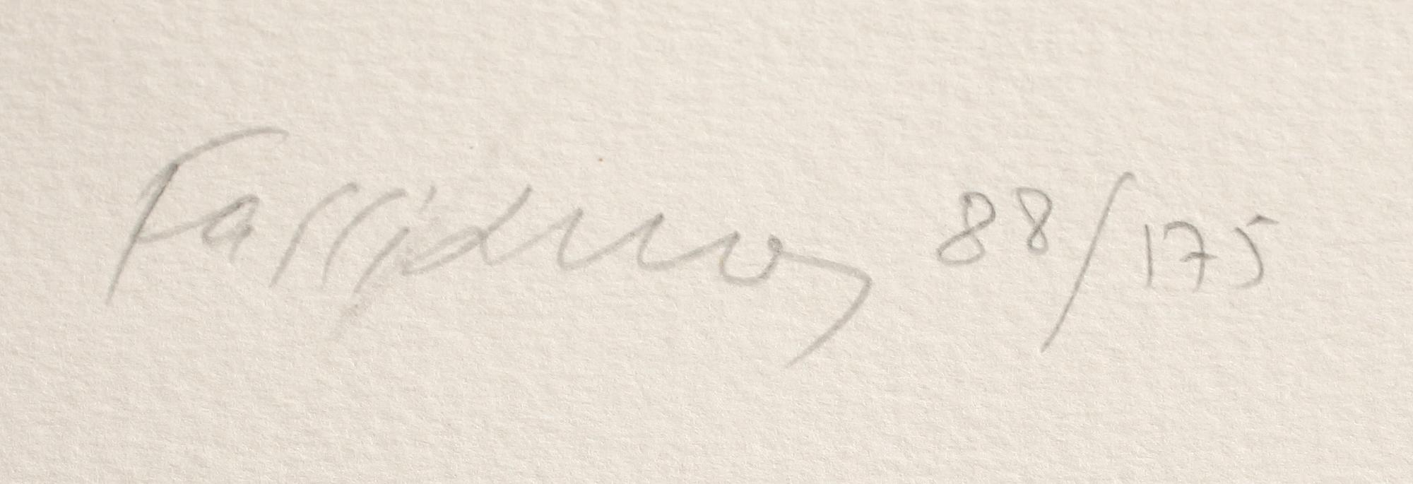 ALEXANDRE FASSIANOS, färglitografi, sign o numr 88/175.