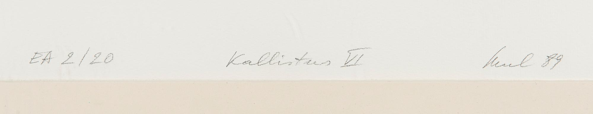 Raul Meel, Kallistus VI.