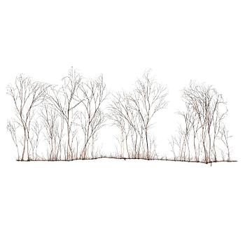 232. Johanna Karlsson, Utan titel.