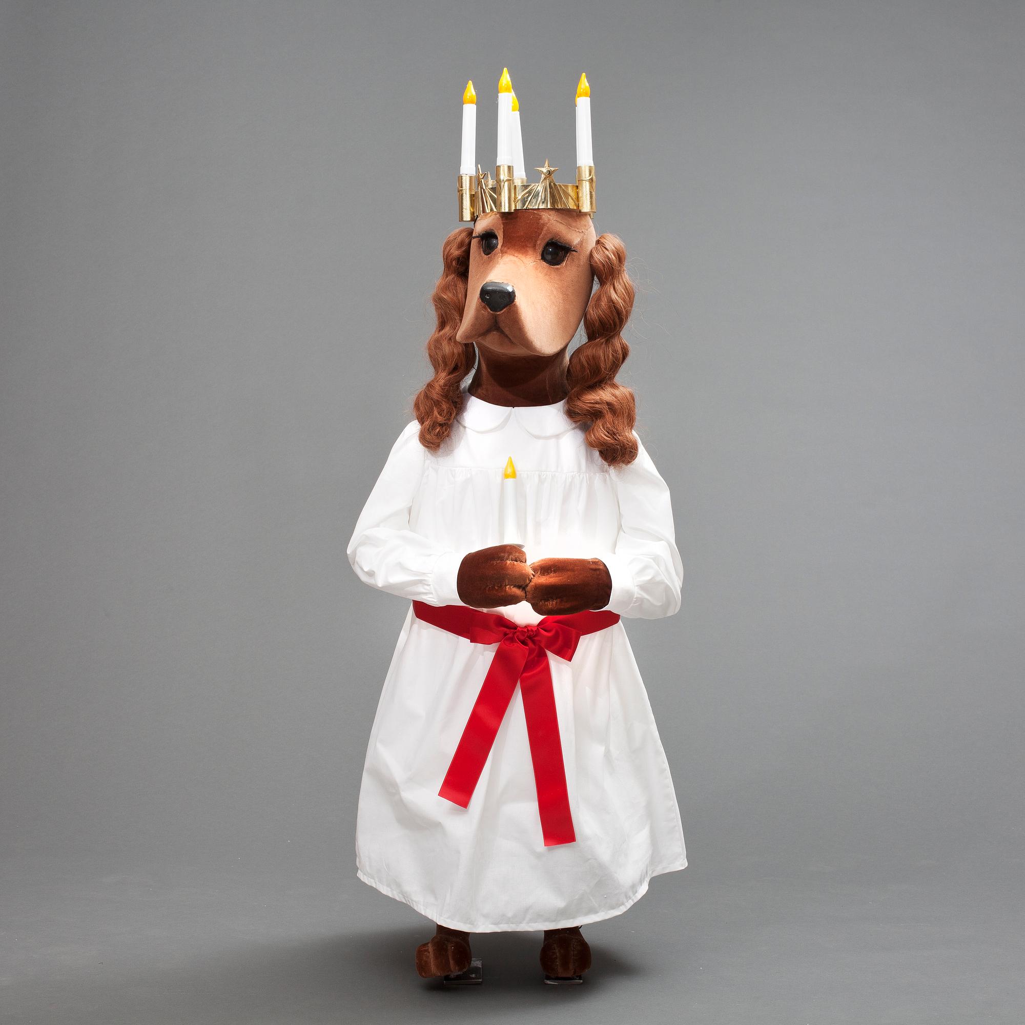 HUND, cockerspaniel "Jeremy", NK 2013, JoAnn Tan Studio.