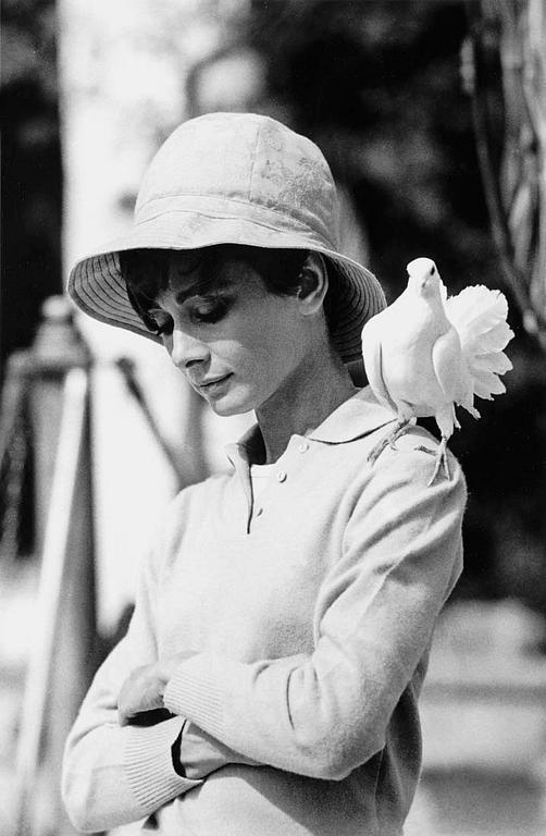 Terry O'Neill, "Audrey Hepburn with dove, St Tropez, 1967".